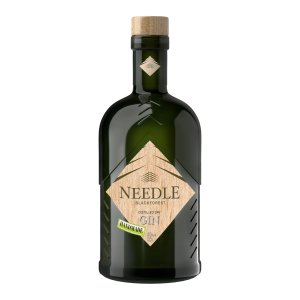 Needle